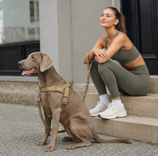 Voffie™ Hundsele - Stoppa drag utan att strypa hunden