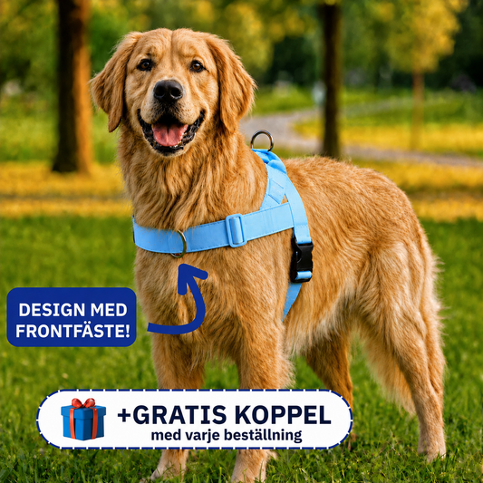 Voffie™ Hundsele - Stoppa drag utan att strypa hunden